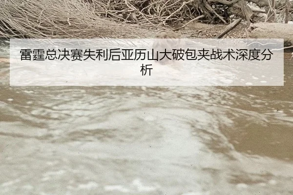 lei-ting-zong-jue-sai-shi-li-hou-ya-li-shan-da-po-bao-jia-zhan-shu-shen-du-fen-xi-2-434.jpg