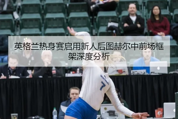 ying-ge-lan-re-shen-sai-qi-yong-xin-ren-hou-tu-he-er-zhong-qian-chang-kuang-jia-shen-du-fen-xi-2-361.jpg